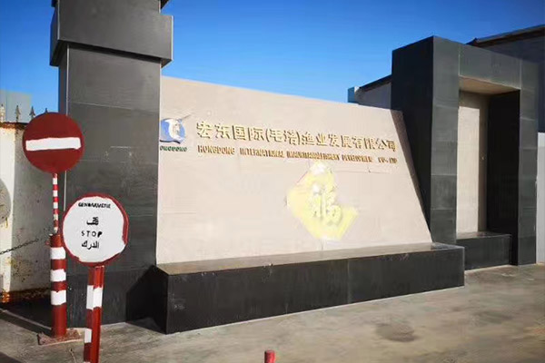 出口毛里塔尼亞一化工廠用6噸、10噸燃氣蒸汽鍋爐項目